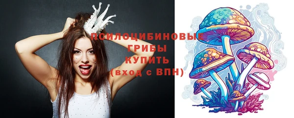 ПСИЛОЦИБИНОВЫЕ ГРИБЫ Богородицк